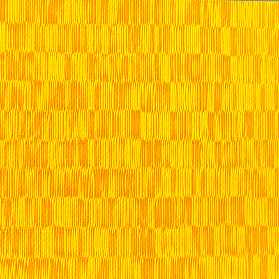 TATAMIS VINYLES DESSOUS NUS • 200 x 100cm