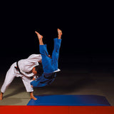 LOT de 2 TAPIS DE CHUTE